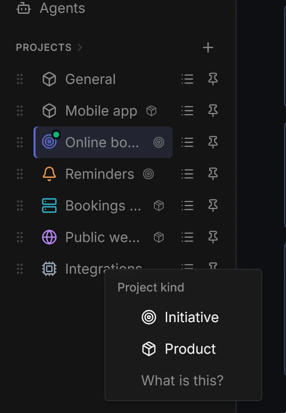 Project menu with the project kind: Initiative or Product