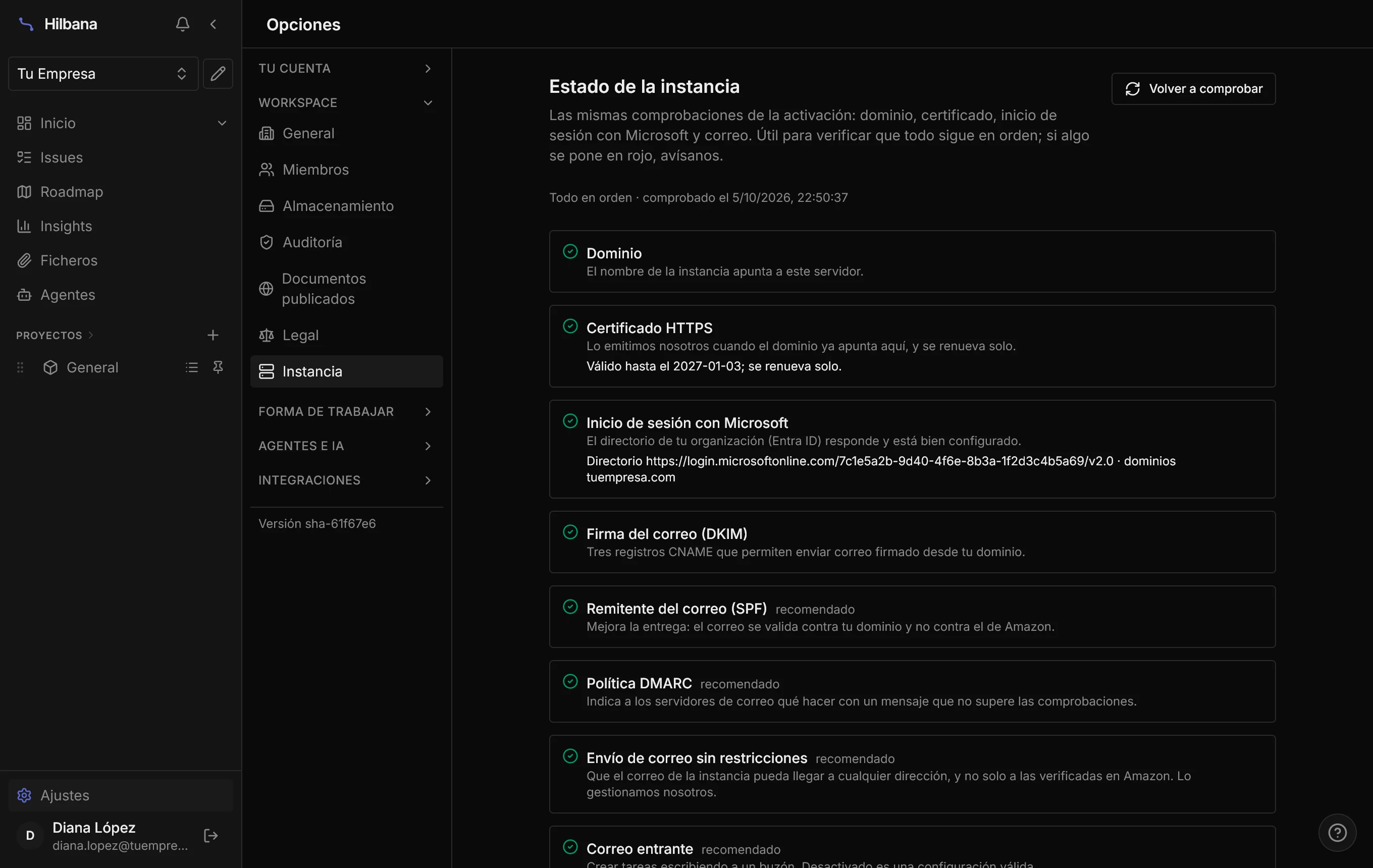 Ajustes → Instancia, con todas las comprobaciones de la instancia en verde